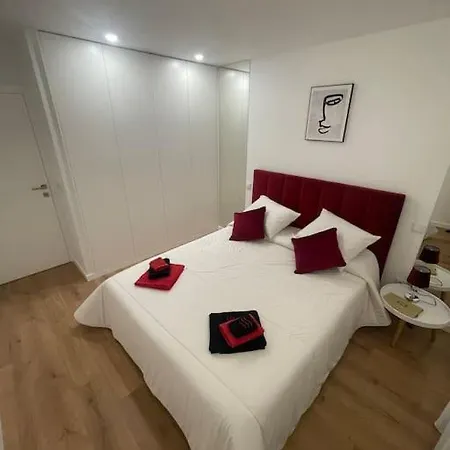 Apartment Chez Alexandre - Magnifique - Ponte De Lima - Wifi Gratuit - Parking Gratuite