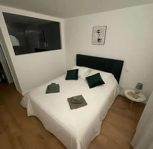 Chez Alexandre - Magnifique - Ponte De Lima - Wifi Gratuit - Parking Gratuite * Feitosa